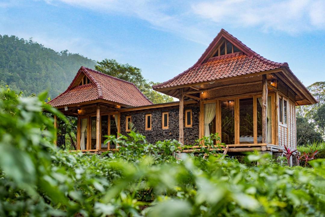 Pondok Manoka 킨타마니 외부 사진